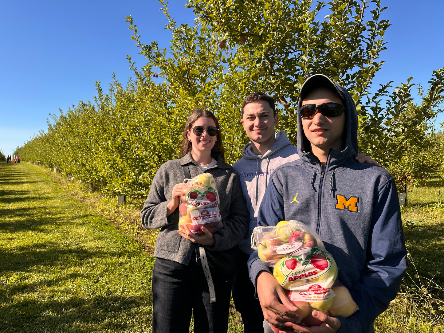 Apple Pie Bars (16 bars) | Please contact us for pick up. Allow at least 2 business days between order and pick up date.